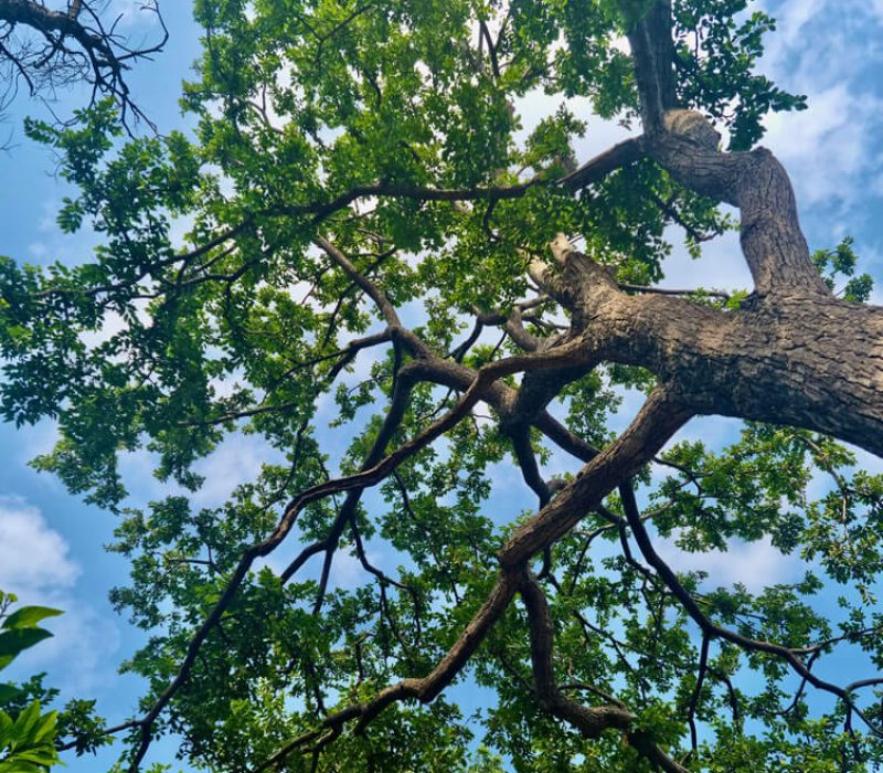 Environmental Environmental